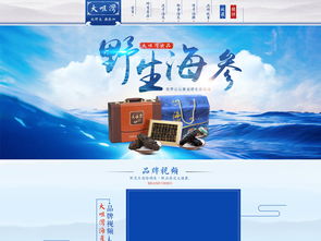 海參海鮮PSD設(shè)計(jì)素材 提升天貓?zhí)詫氻?yè)面視覺(jué)層次的專業(yè)工具